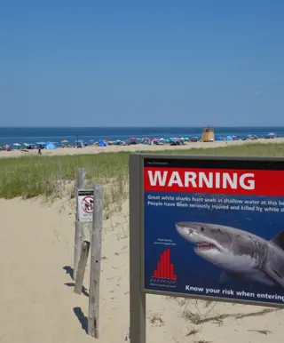 Besuche die kleinen Städtchen am Cape Cod